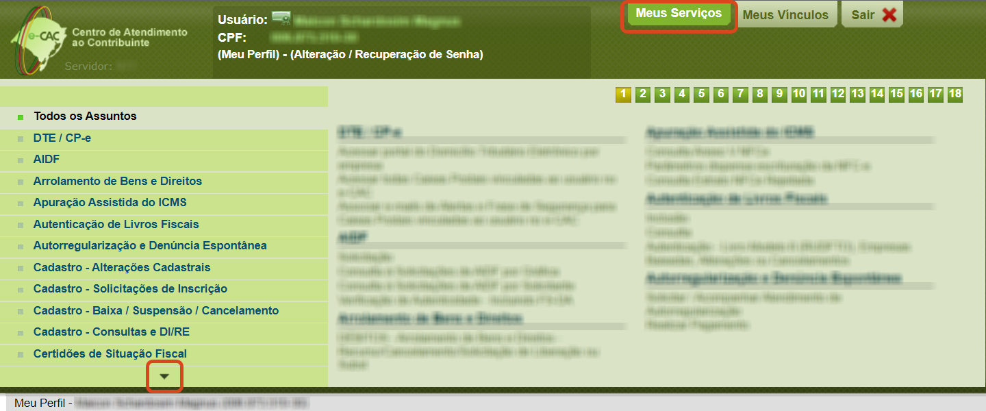 Portal e-CAC - Meus serviços